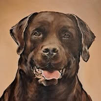 Murphy